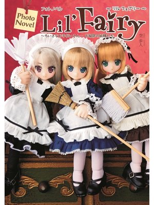 cover image of Photo Novel Lil'Fairy　～ちいさなお手伝いさん～　お掃除の妖精たち
